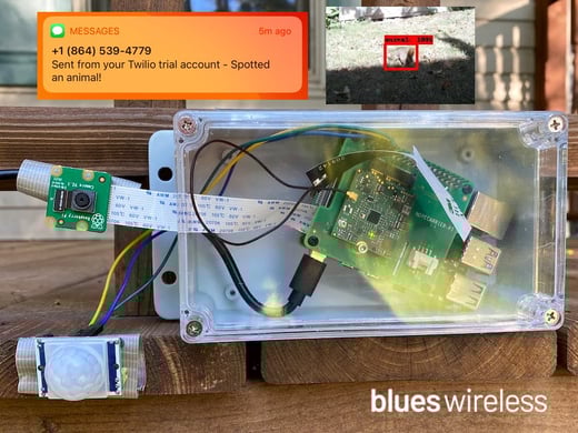 ml pest detection with notecard