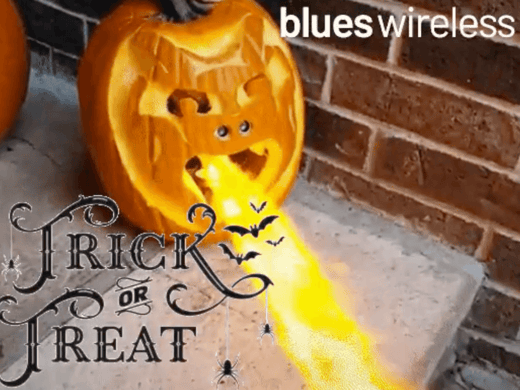 zak pumpkin